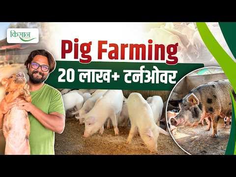 Pig Farming में कैसे करें Breeding और Marketing | Pig Farm Design Plans | Suar Palan