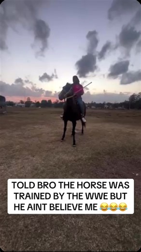 FunnyMike on Instagram: "🤣🤣🤣🤣"