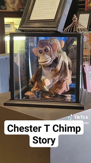 The Mysterious Chester T Chimp: Haunted or Not?