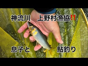 神流川上野村 日帰り鮎釣り6日目HD 1080p