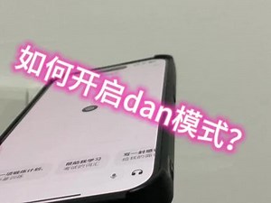 dan指令用不了怎么办