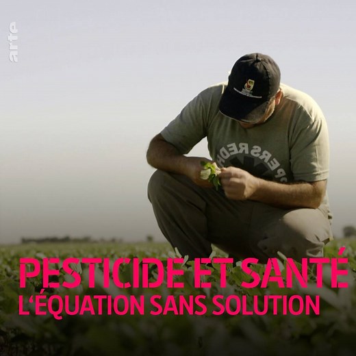 Vous reprendrez bien un peu de glyphosate ? 🌿 Agissez informés avec so.arte/Pesticides | ARTE