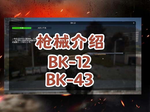 DayZ国服枪械介绍（BK-12/BK-43），快来一起体验射击的快乐吧！