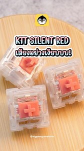 3.8K views · 25 reactions | KTT Silent Red Switch สวิตช์เสียงเงียบบบบบบ.... #mechanicalkeyboard #คีย์บอร์ด #customkeyboard #keyboard | Big Penguin ตัวจริงเรื่องคีย์บอร์ด | Facebook