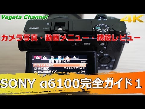 SONY a6100 Complete Guide 1 Camera Photo,Movie Menu, Function Review