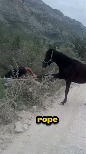 This Horse Was Trapped On The Road… Then He Stopped 🐴❤️ #shorts