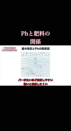 Ph(ペーハー）の重要性