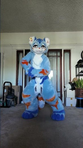【Fursuit Dance】Kaili - Soda Pop