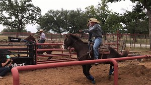 Bubba Buckaloo came to spin some for the camera today. | The Team Roping Journal Magazine
