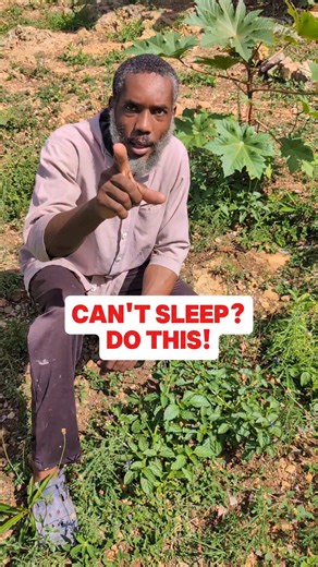 Eliyah Mashiach | Pick blue vervain make a tea | Instagram