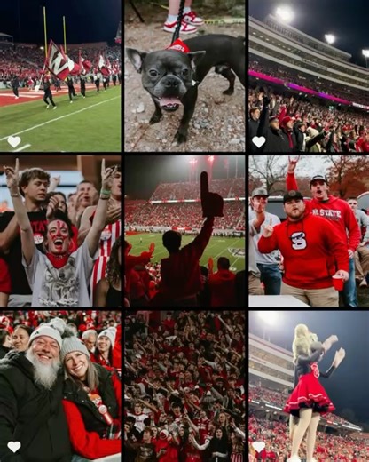 NC State Athletics on Reels