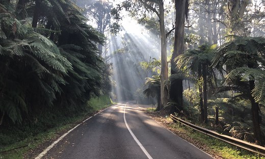 The 1 in 20 | The Climbing Cyclist