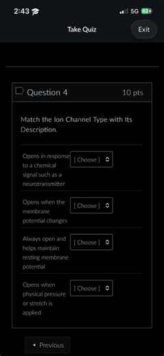 Match the Ion Channel Type with Its Description.  Opens in resp... | Filo
