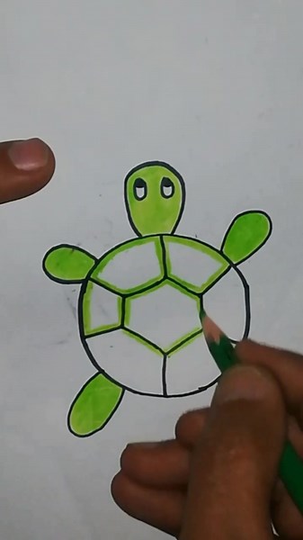 How to Draw a Tortoise: Step-by-Step Guide
