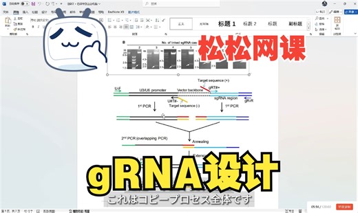 设计CRISPR基因编辑的gRNA/Golden gate或Gibson方法构建多重gRNA表达载体