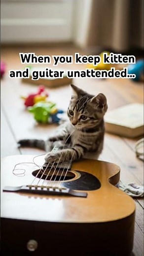 Cat and music series-EP5 #cat #guitar #cutecat