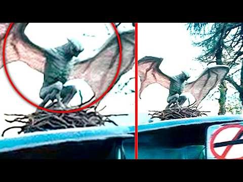 Disturbing Cryptids Caught On Camera That Should Not Exist