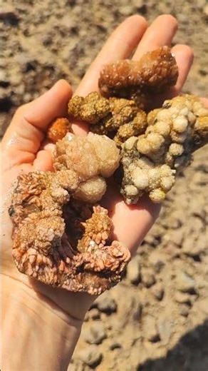 hunting agate #crystals #agatehunting #rockhounding #naturalamethyst #agateparadise #agate #crystal