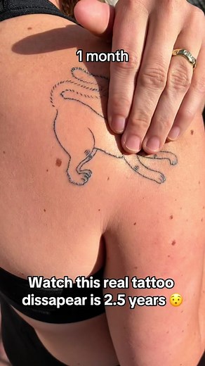 The Journey of an Ephemeral Tattoo: From Ink to Fade