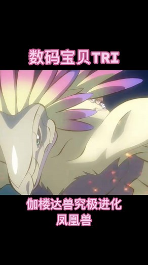 数码宝贝TRI 伽楼达兽究极进化凤凰兽