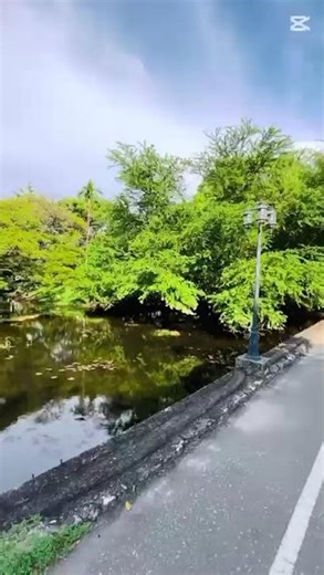 University of Colombo 🎓❤️