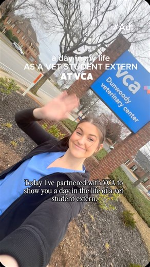 Ever wondered what it’s like to be a VCA Student Extern? Follow along with @tayloreliz_ as she takes you through a day in her life — from assisting with sick visits to helping out during a mass removal surgery. Don’t miss it! | VCA Animal Hospitals