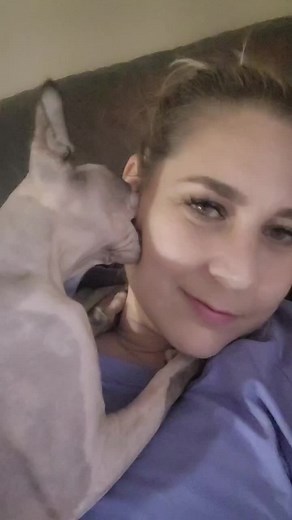 Hilarious Sphynx Cat Videos Compilation