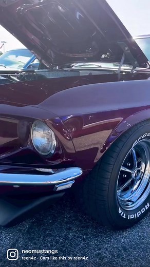 AMERICAN MUSCLE FOREVER! #mustang #ford #fordperformance #vintage #classic #carshow #restomod #events #mustangweek #antiques #reels #perfect #art #collector #vintagecar #resto #restoration #v8 #fastback #coupe #boss #bossmustang #351windsor #fordmustang #fastandfurious #vindiesel #paulwalker