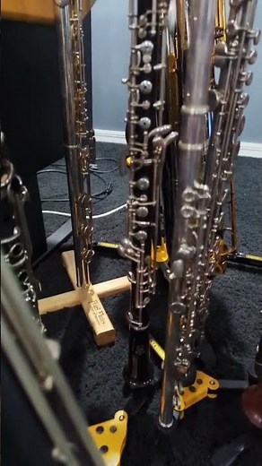 Double Reed Time #oboe #bassoon #woodwind #doublereed #orchestra #instrument #flute #clarinet #short