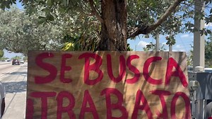 Wooden Job Wanted Sign on Tree in Urban Setting