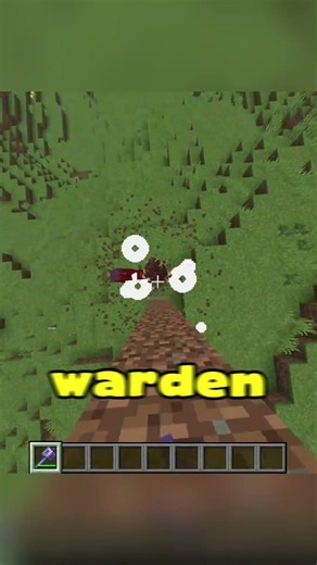 The ONLY Way to One Shot a Warden