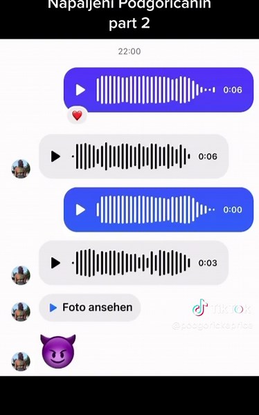 Exploring Local Stories: Napaljeni Podgoricanin Unveiled