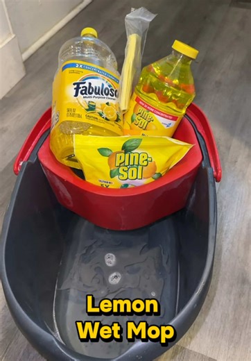 Lemon Pine-Sol Entryway Cleaning