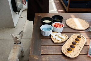 Can Dogs Eat Pistachios? It Depends