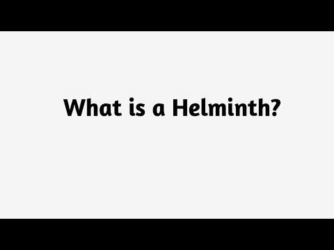 What is a Helminth ?