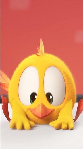 The orchestra is out #chicky | Chicky Cartoon in English for kids