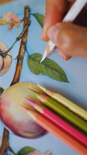 Grayscale Coloring with Watercolor 🍑 Easy Technique for Beginners