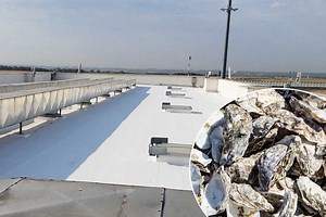 Cool Roof, une peinture à base de coquilles d'huîtres pour rafraichir les maisons