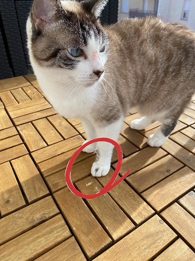 9.8K views · 26 reactions | Devinez qui a aidé maman à changer les cartouches d’encre de l’imprimante ???  | Monsieur Milk | Facebook