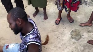 in Zimbabwe ,Man turns into cow after having s*x with a married woman | King Bokwe