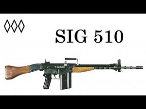 SIG 510