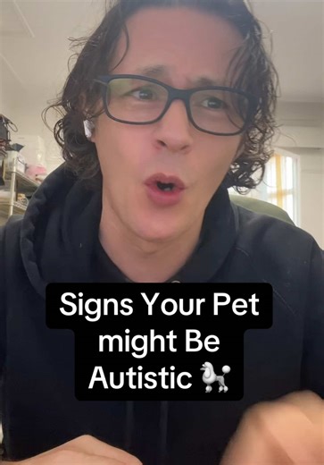 Could your dog be showing autism-like traits? 🐕 Recent research suggests some dogs display behaviours that closely mirror autistic traits in humans — things like sensory sensitivity, repetitive behaviours, and different social responses. It’s not a diagnosis, but it’s changing how scientists understand both animals and autism. These conversations matter, especially right now. #Neurodiversity #autismawareness #askellie #dogs #cats