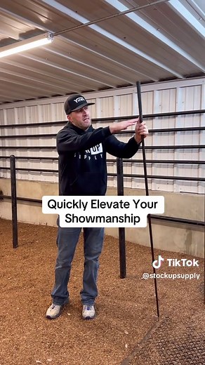 Enhance Your Cattle Showmanship Skills Quickly