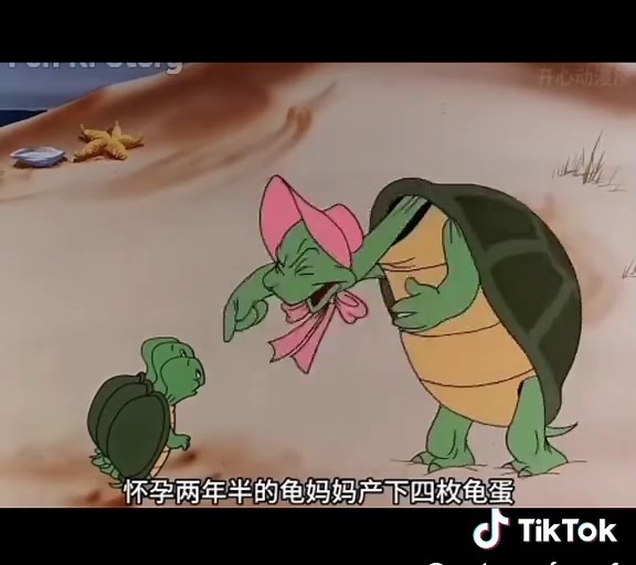 Hilarious Comedy Scenes that Will Make You Laugh