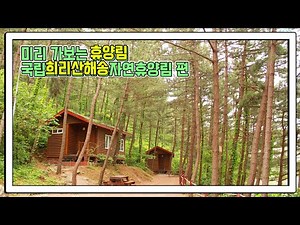 미리 가보는 휴양림 : 국립희리산해송자연휴양림 편