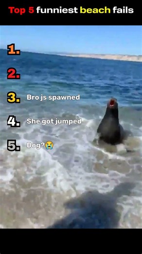 Ranking funniest beach fails