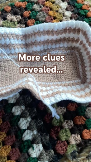 More Clues Revealed 👀🧶 Can You Guess It Yet? 👀🧶 | Crochet Mystery Part 4