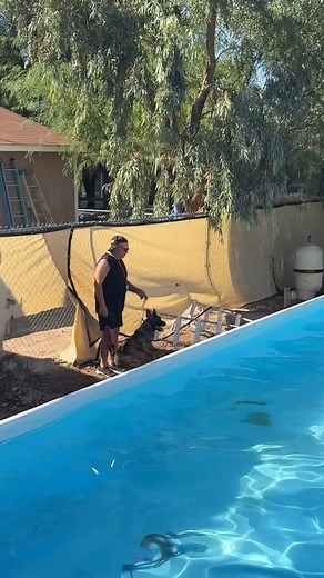 2.4K views · 1.4K reactions | “Grok” - Bites, guards, call off, directional sends. Decoy is @mikemartenies #dogtraining #dog #dogs #k9training #puppy #puppylove | Fred Hassen | Facebook