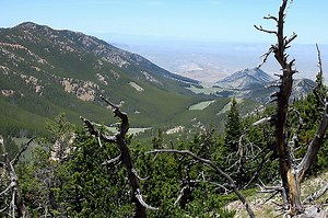 Macro vs Micro navigation