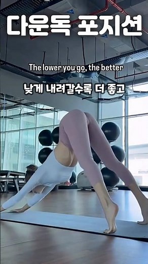 Extended Downward Dog Stretching Exercise